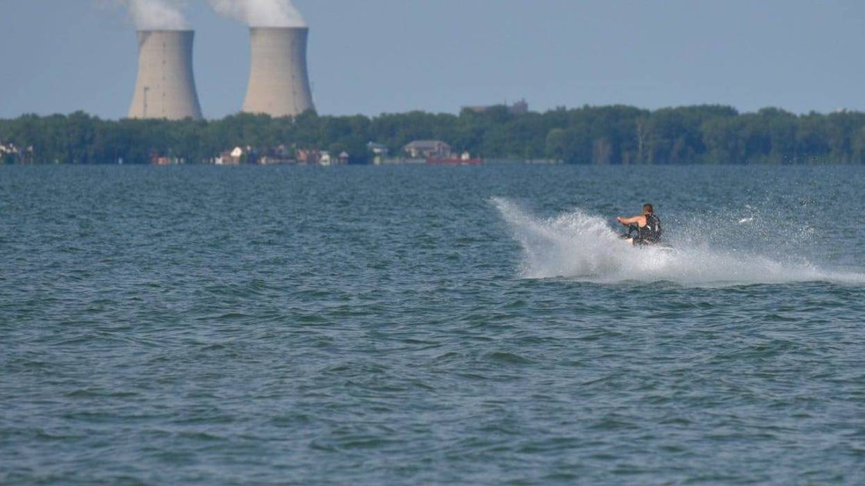 DTE's downriver nuclear power plant was automatically taken offline Friday evening after an electrical issue shutdown a main turbine.