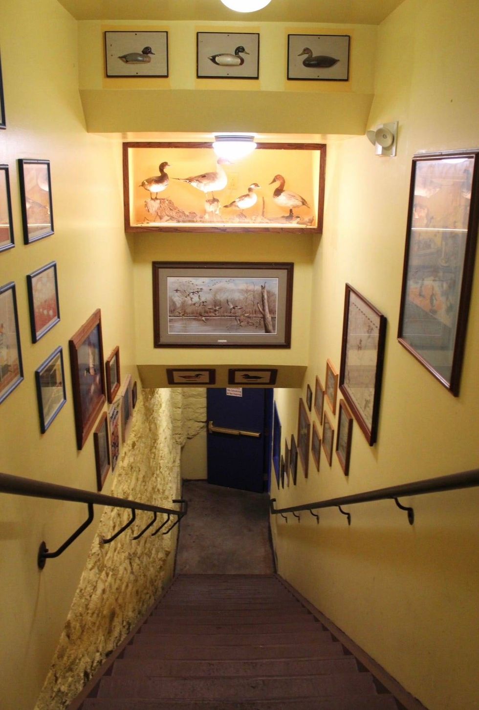 Duck Room