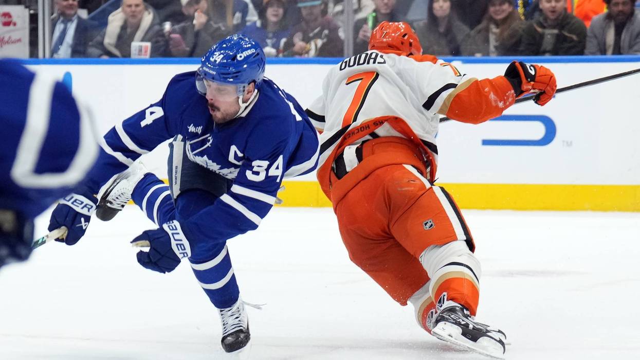 Ducks Maple Leafs Hockey