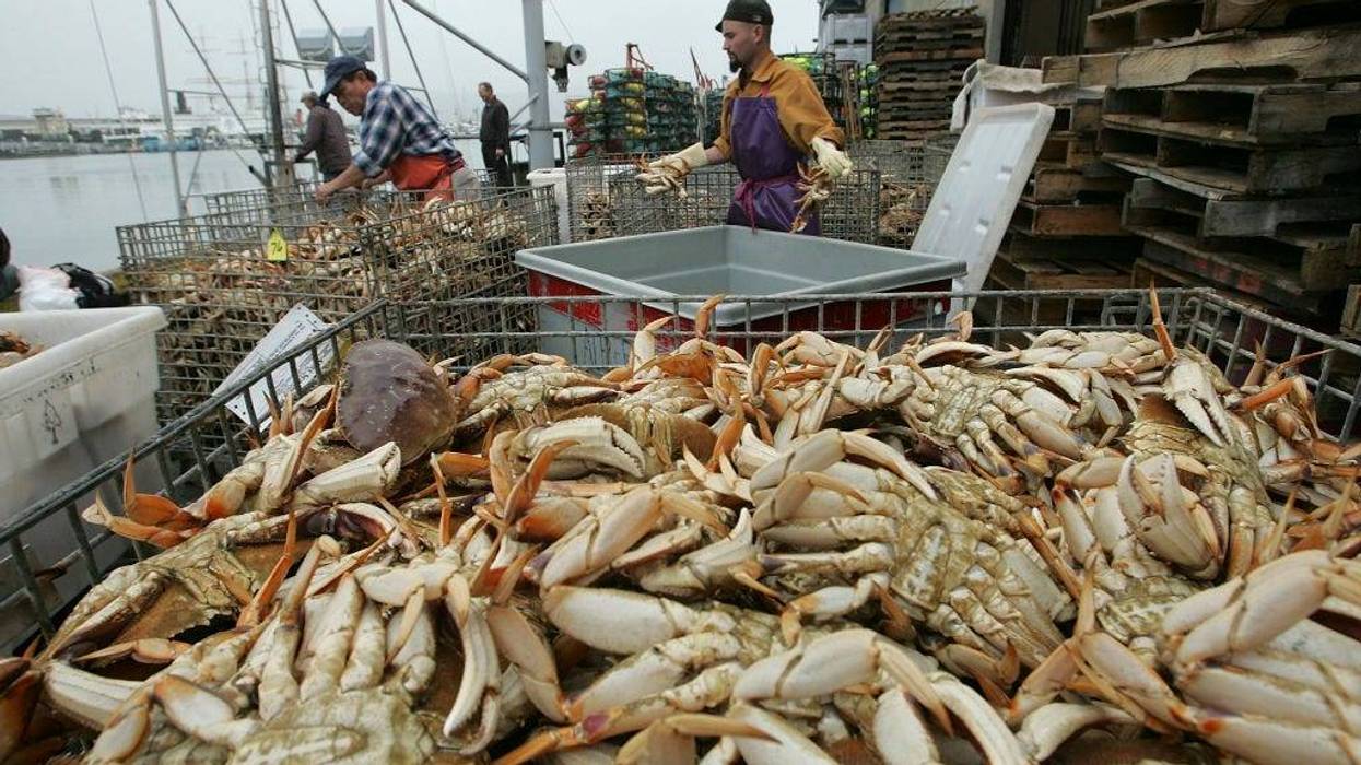 Dungeness crab season is expected to start next month and Bay Area residents may get the opportunity to purchase the shell fish fresh from the boats at Fisherman’s Wharf.