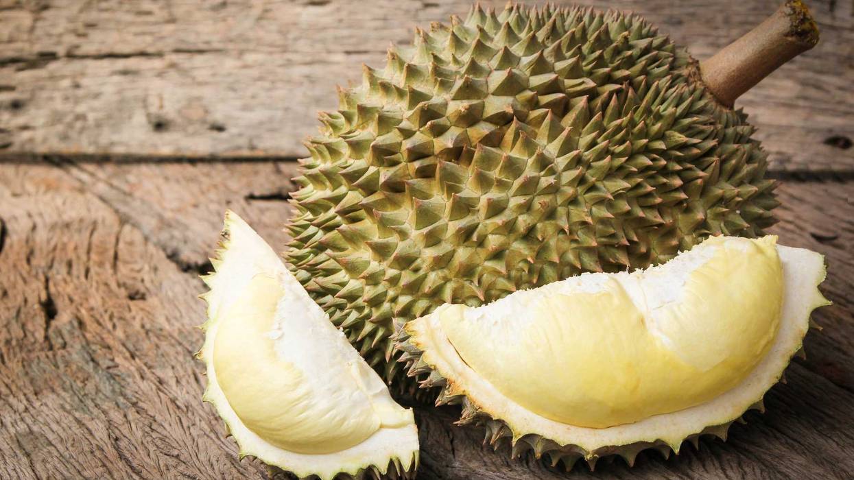 Durian riped and fresh, Durian peel with yellow color on old wood background. king of fruit from Thailand on summer season.