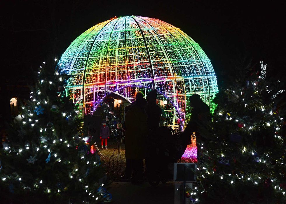 During Brookfield Zoo