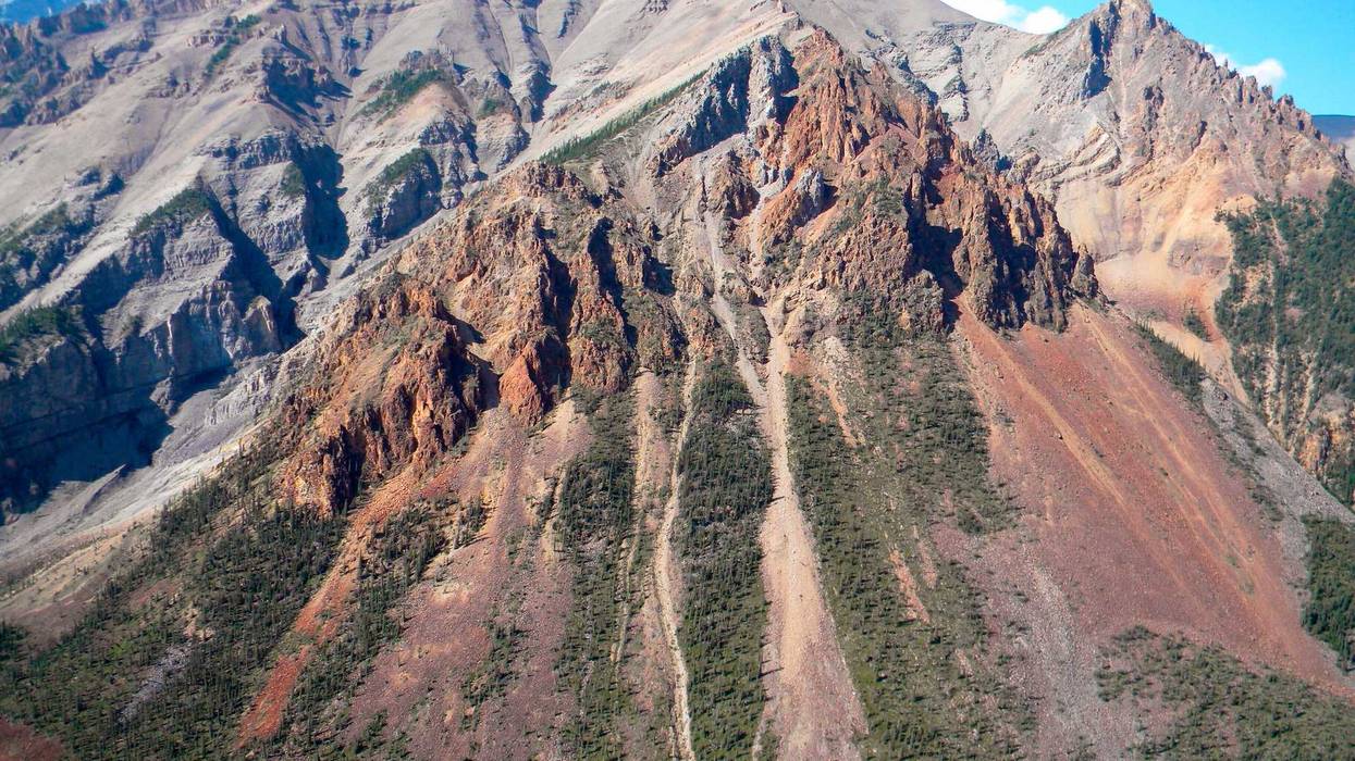 Earliest Animal Fossil