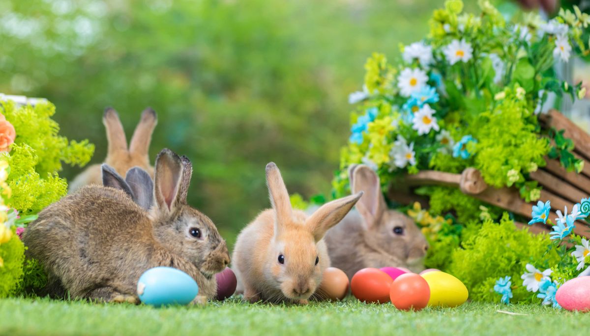 Easter bunnies and eggs