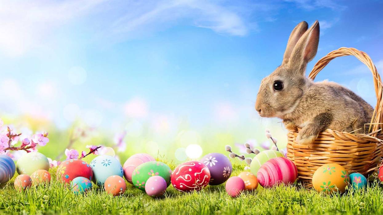 Easter Bunny