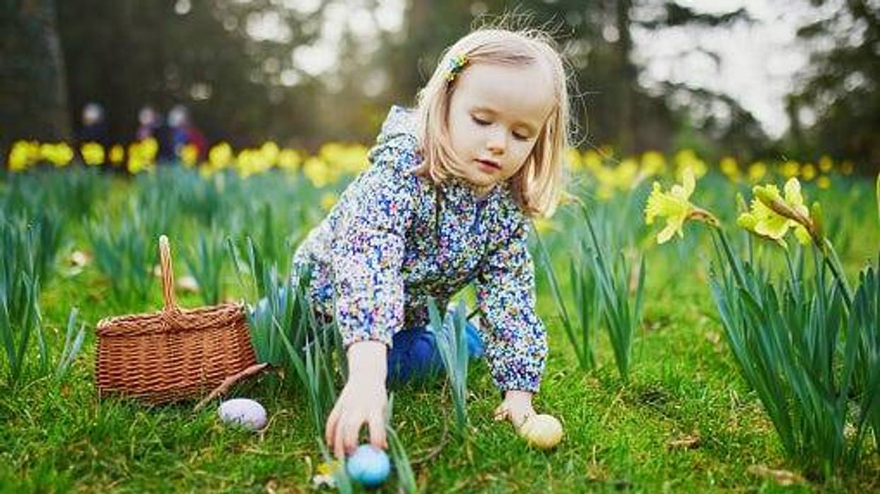 easter egg hunt