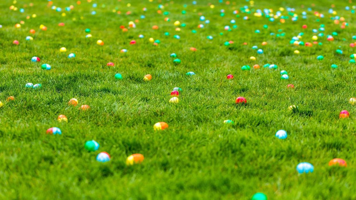 Easter eggs in grass