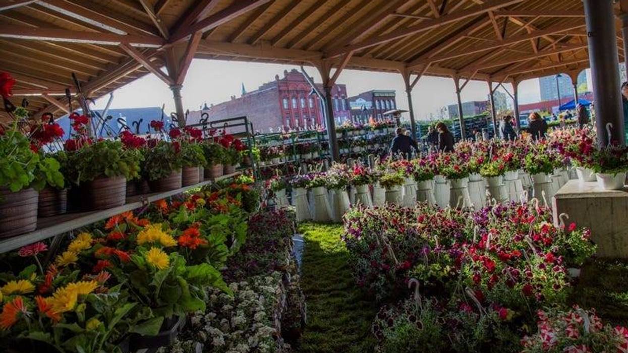 Eastern Market Flower Day to take place every Tuesday in May