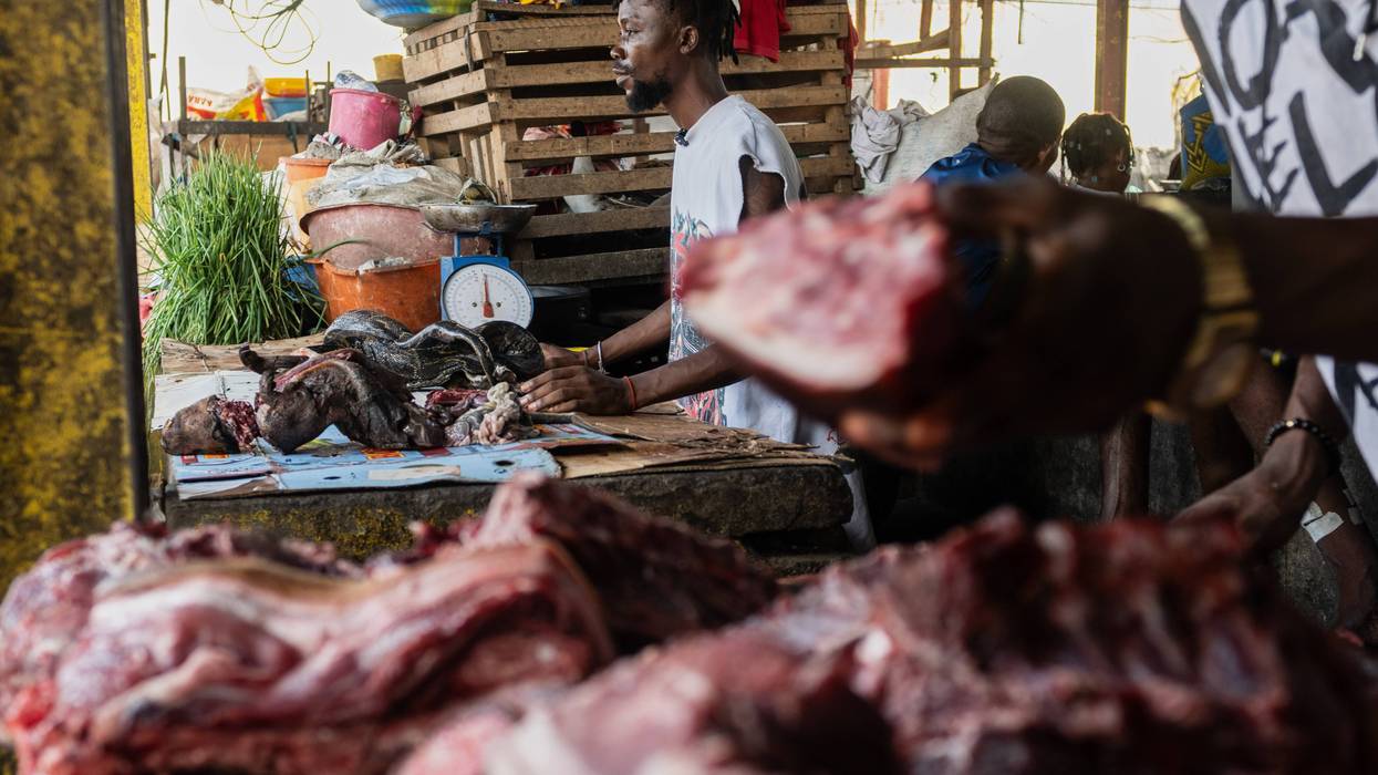 Ebola Wild Meat