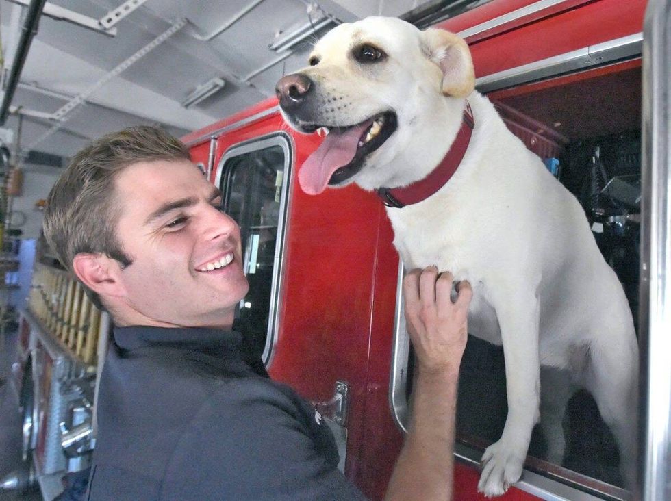 Echo the Dog