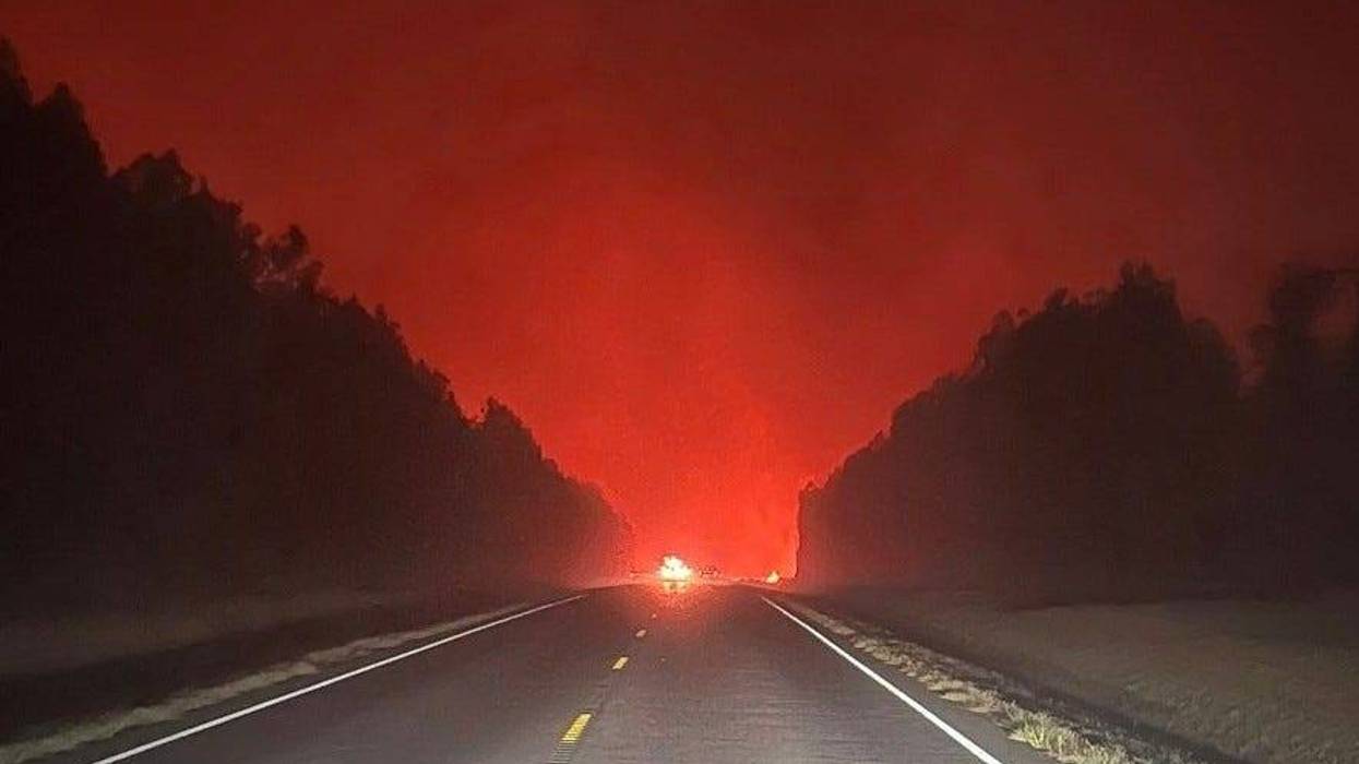 Economic loss of forests to drought, wildfires for timber land owners indescribable