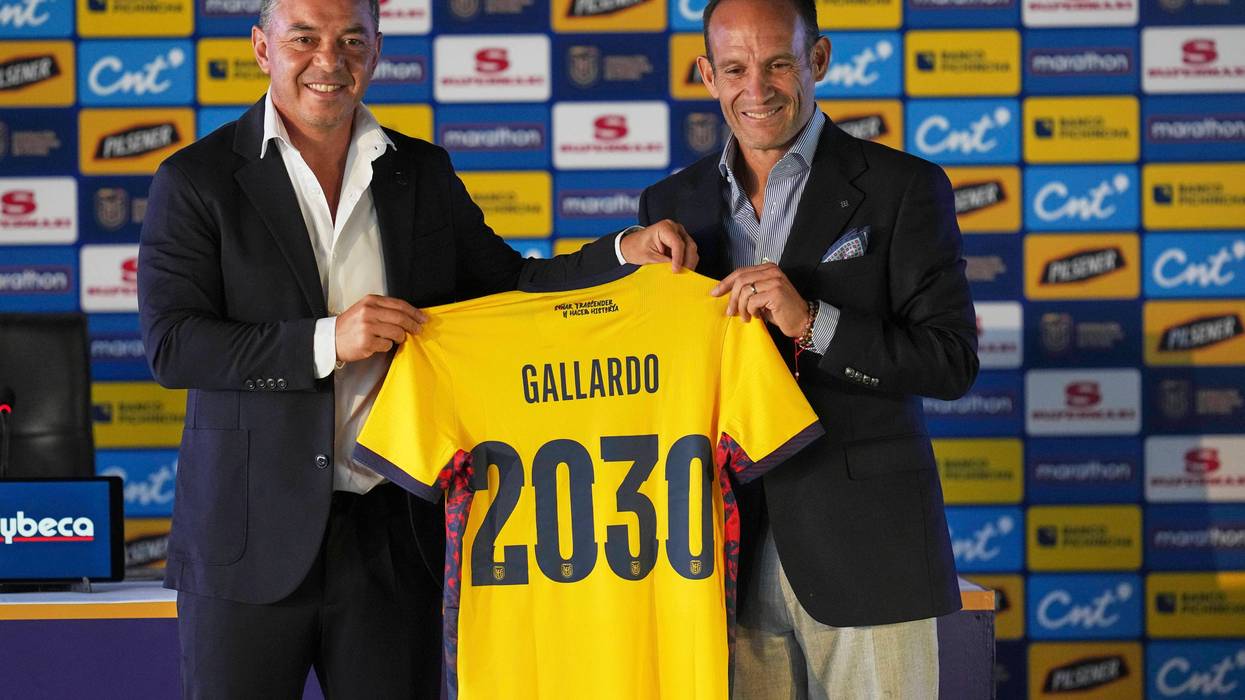 ECUADOR-GALLARDO 232