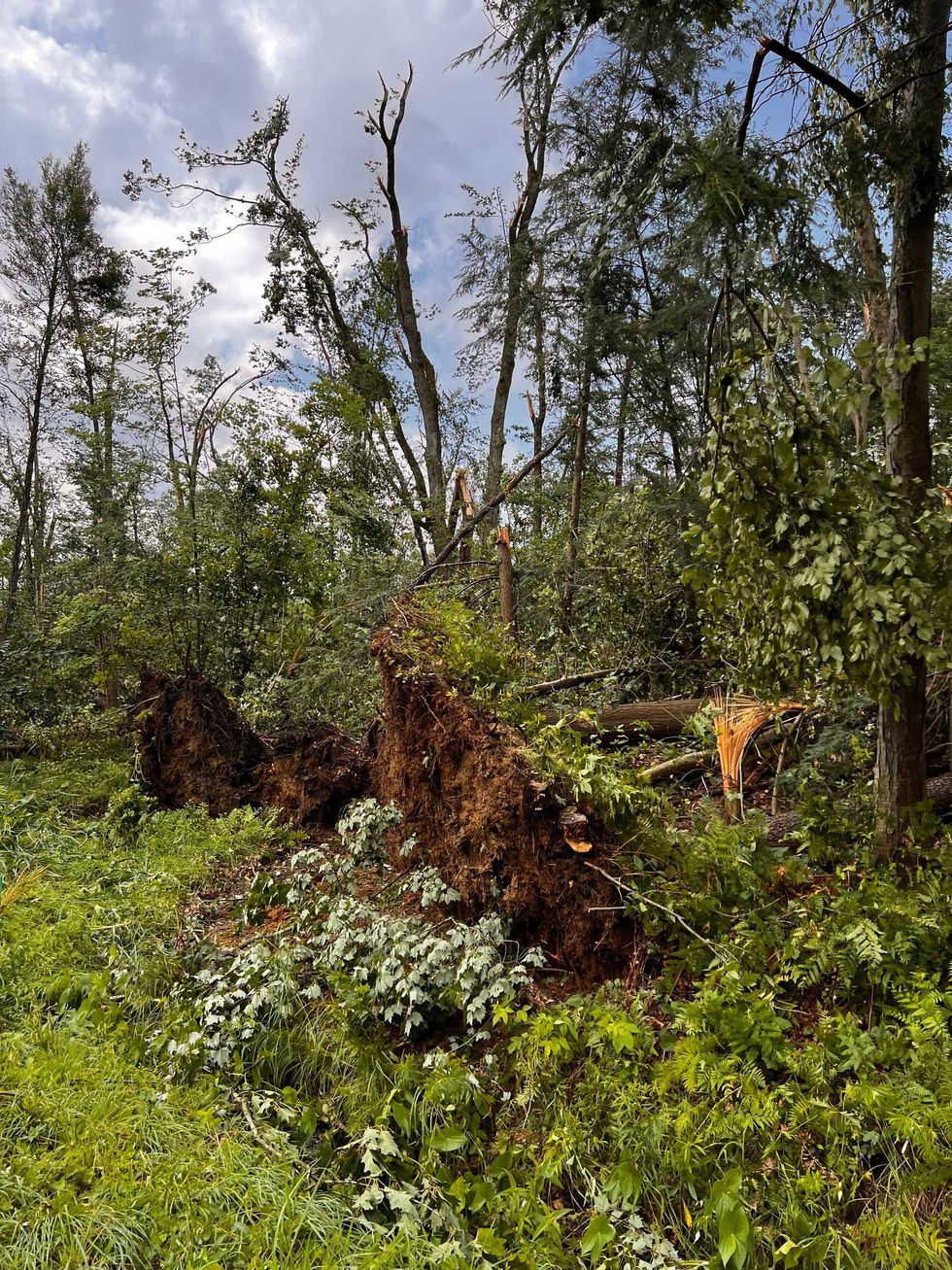 Eden tornado damage