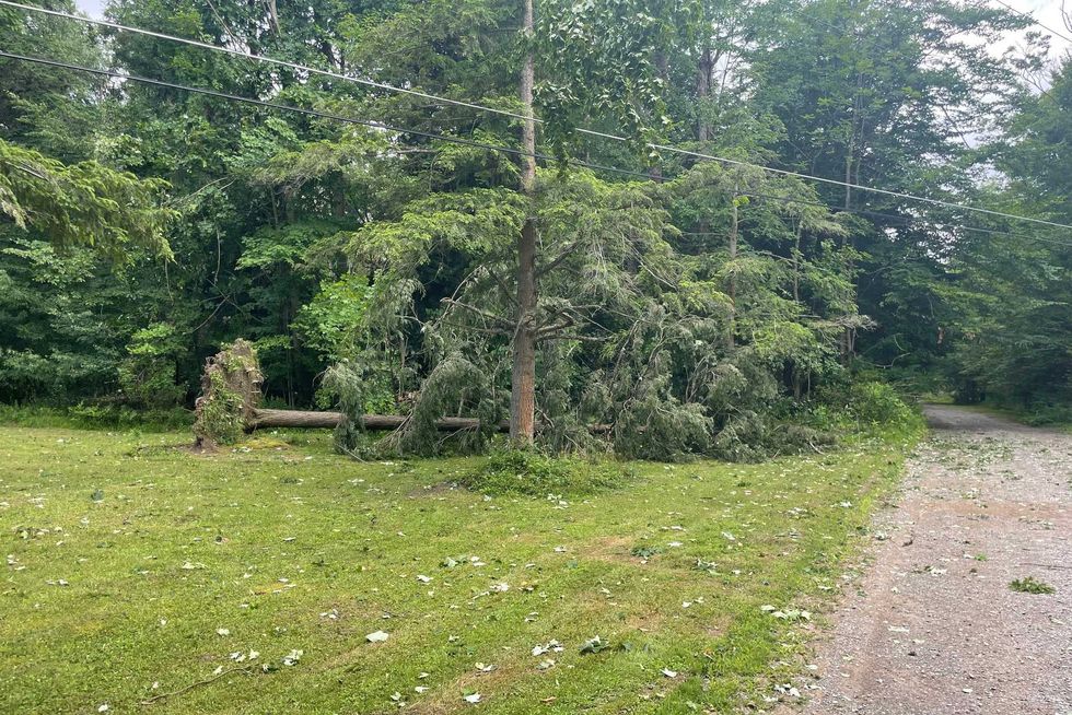 Eden tornado damage