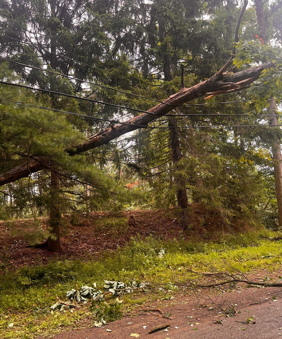 Eden tornado damage