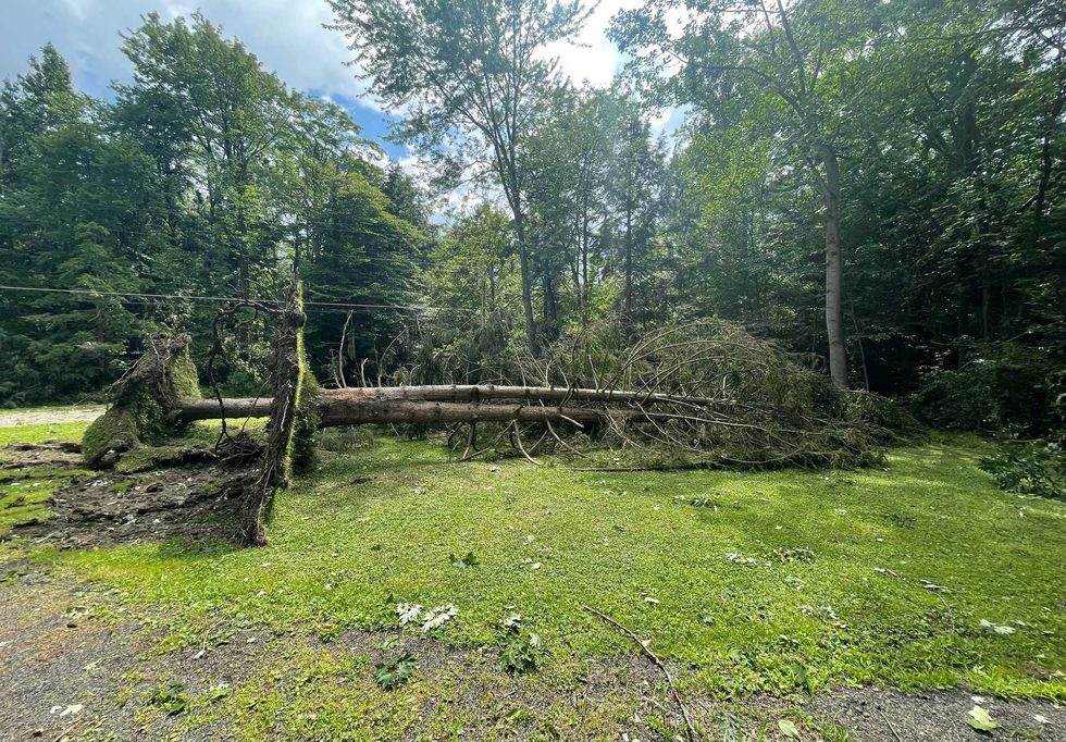 Eden tornado damage