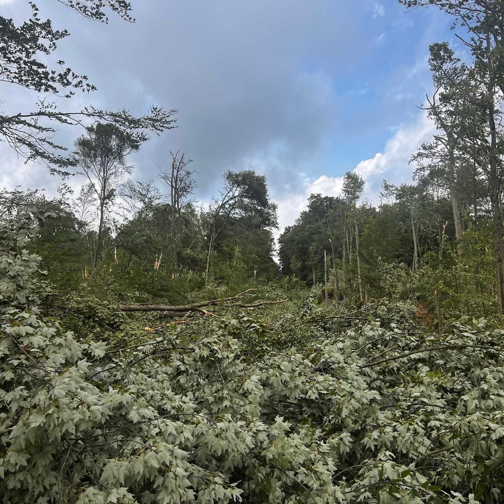 Eden tornado damage