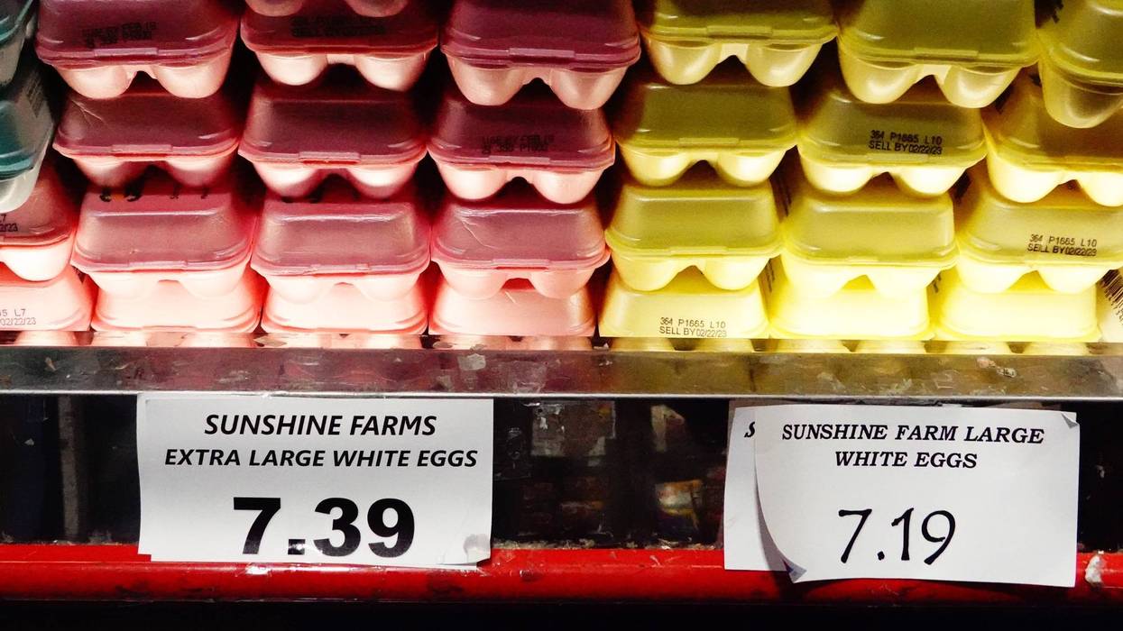 egg cartons sitting on store shelves. one price tag reads $7.39 and the other reads $7.19