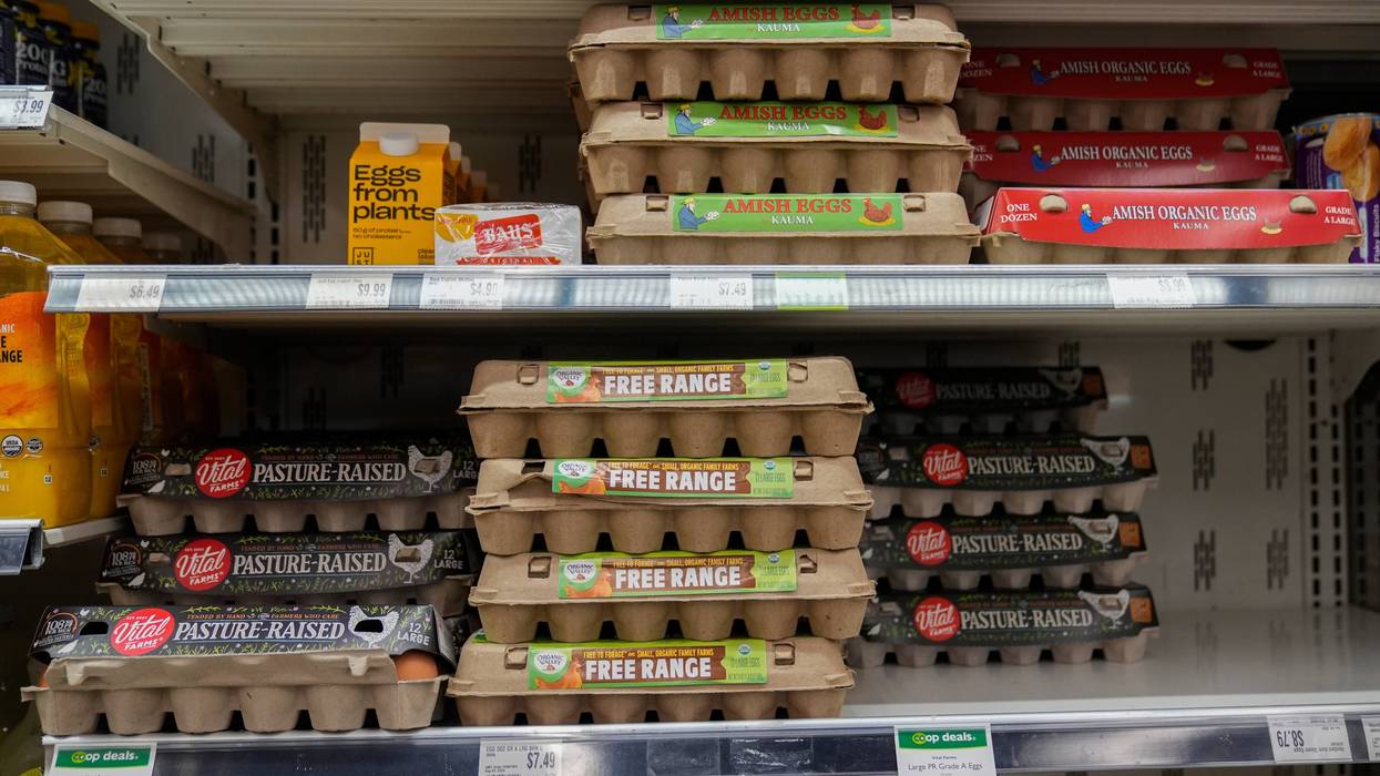 Egg Prices Settlement 3