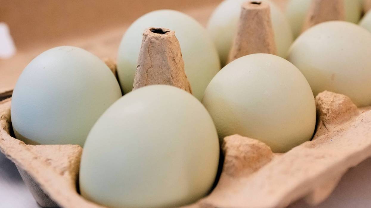 Egg Prices Settlement
