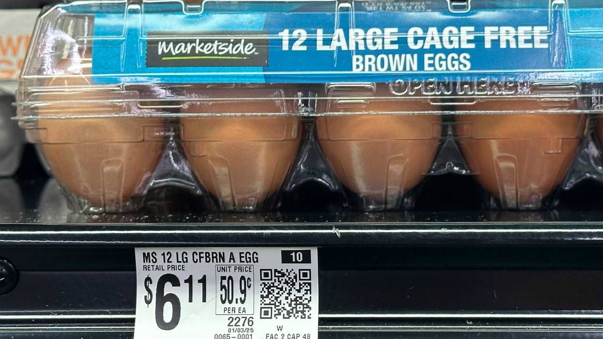 Egg Prices