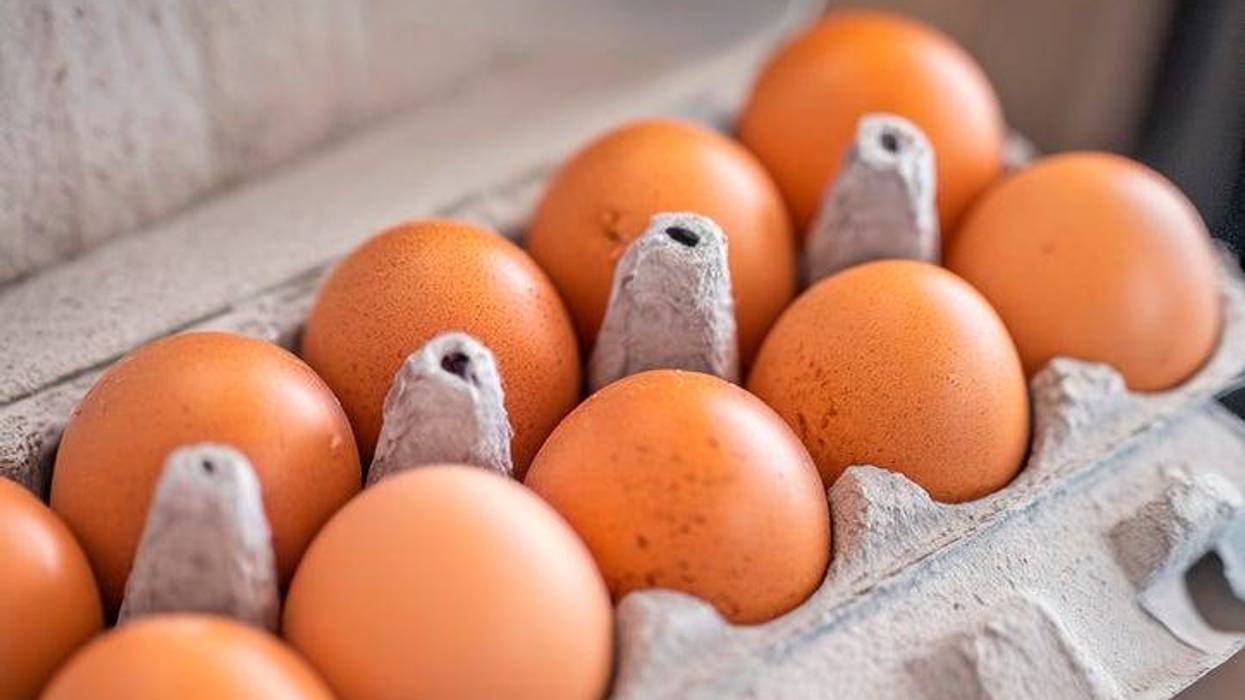 eggs for sale