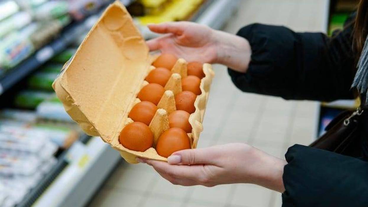 eggs