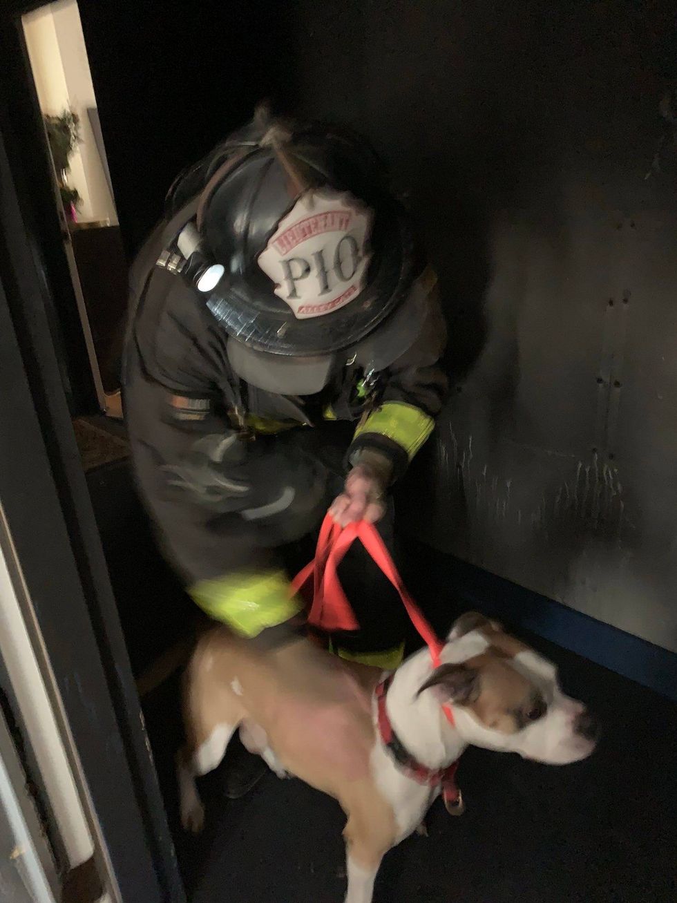 Eight pets have been rescued after an apartment fire erupted in San Francisco’s South of Market neighborhood Saturday.