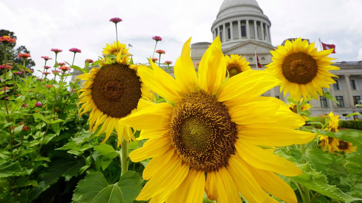 Election 2 25 Decision Notes Arkansas 365