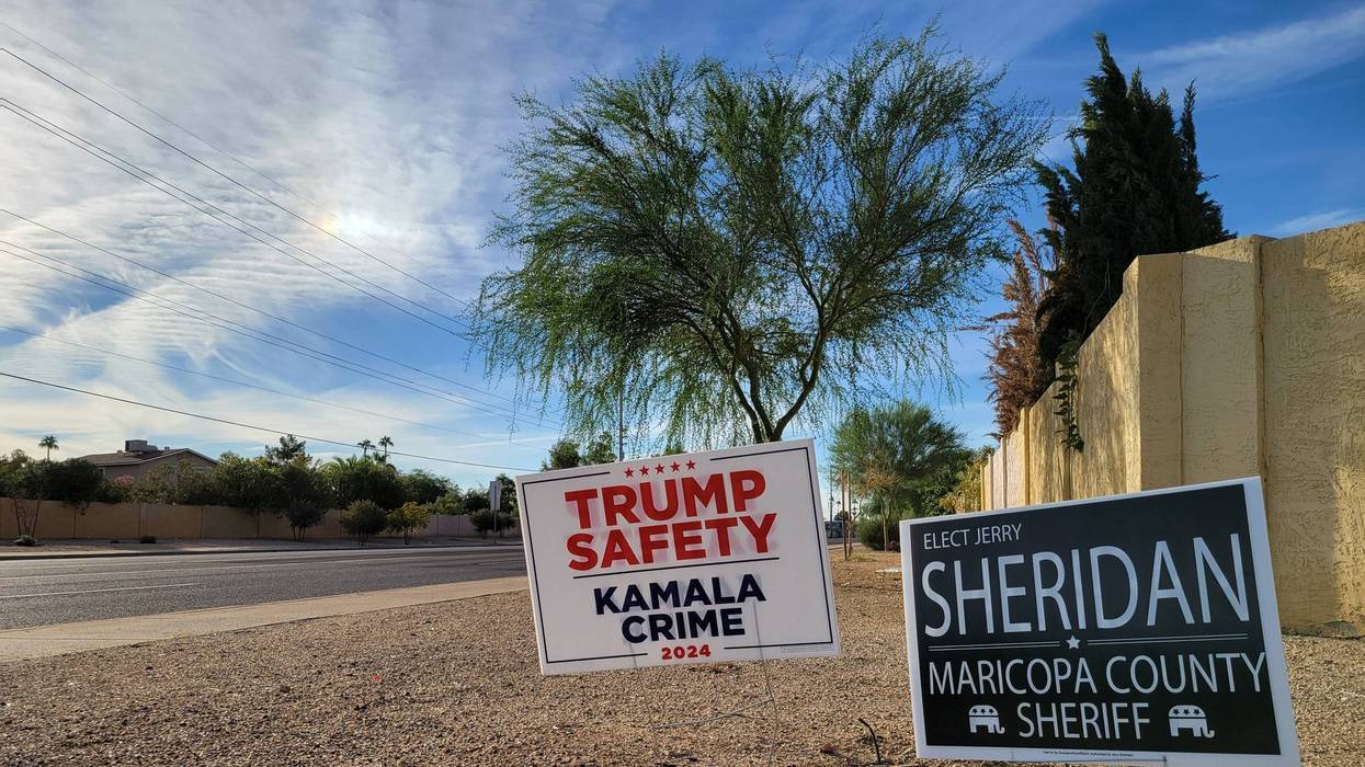 Election Signs along City Streets in Phoenix, AZ