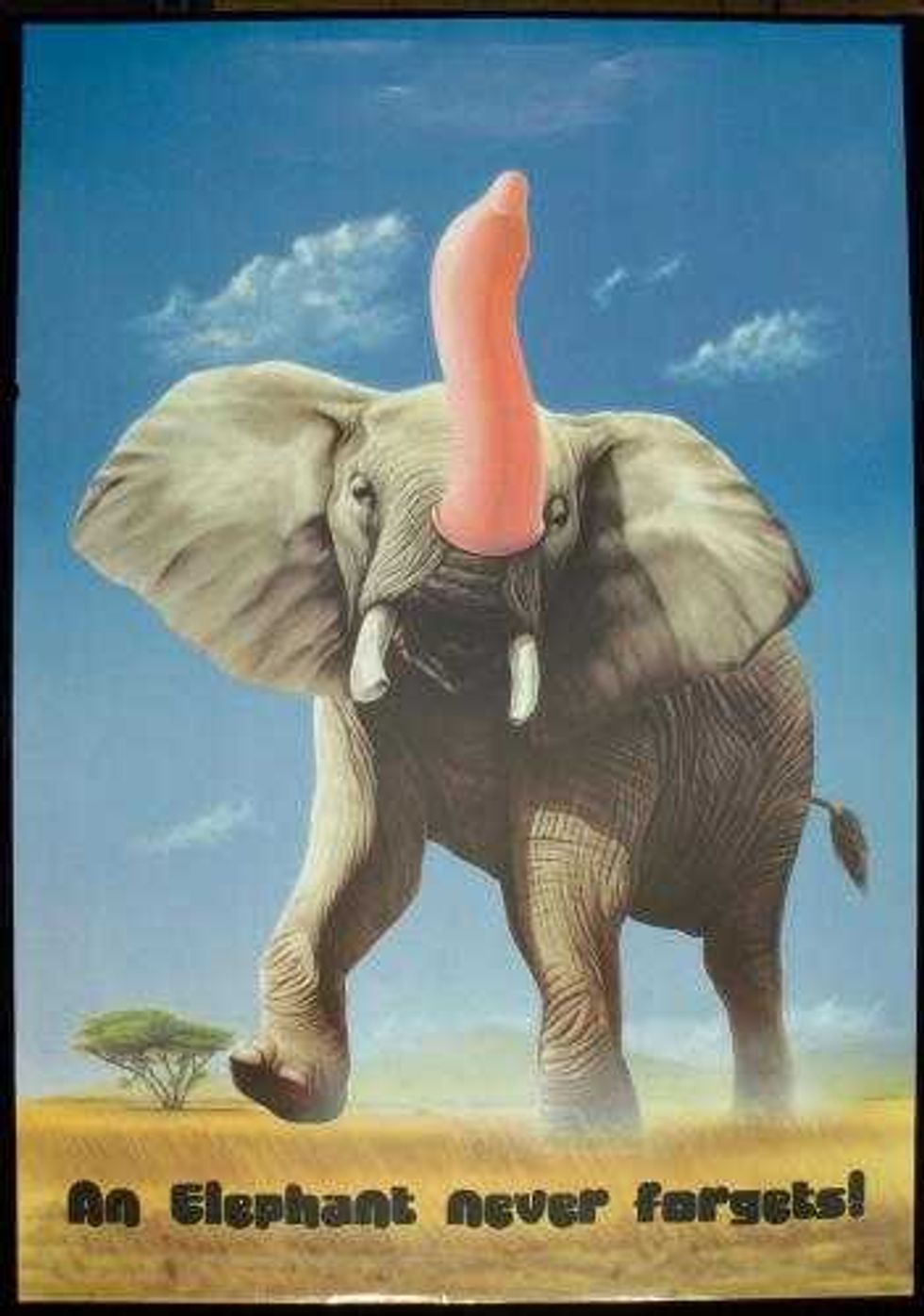 Elephant Never Forgets! poster