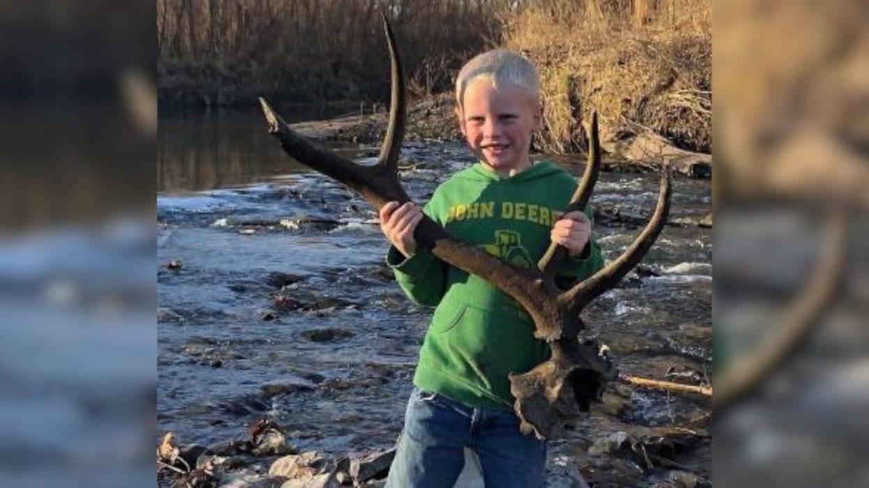 elk antler