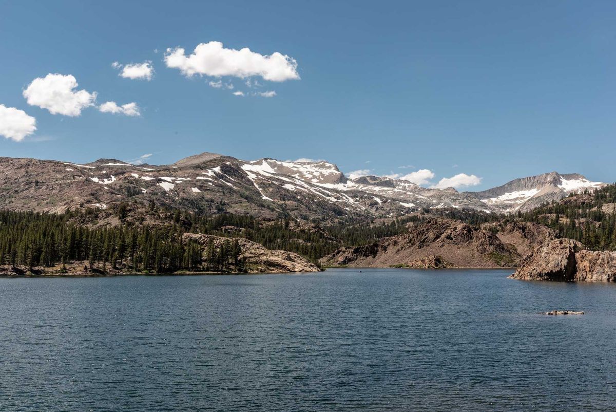Ellery Lake in California with snow on its mountains during the summer.