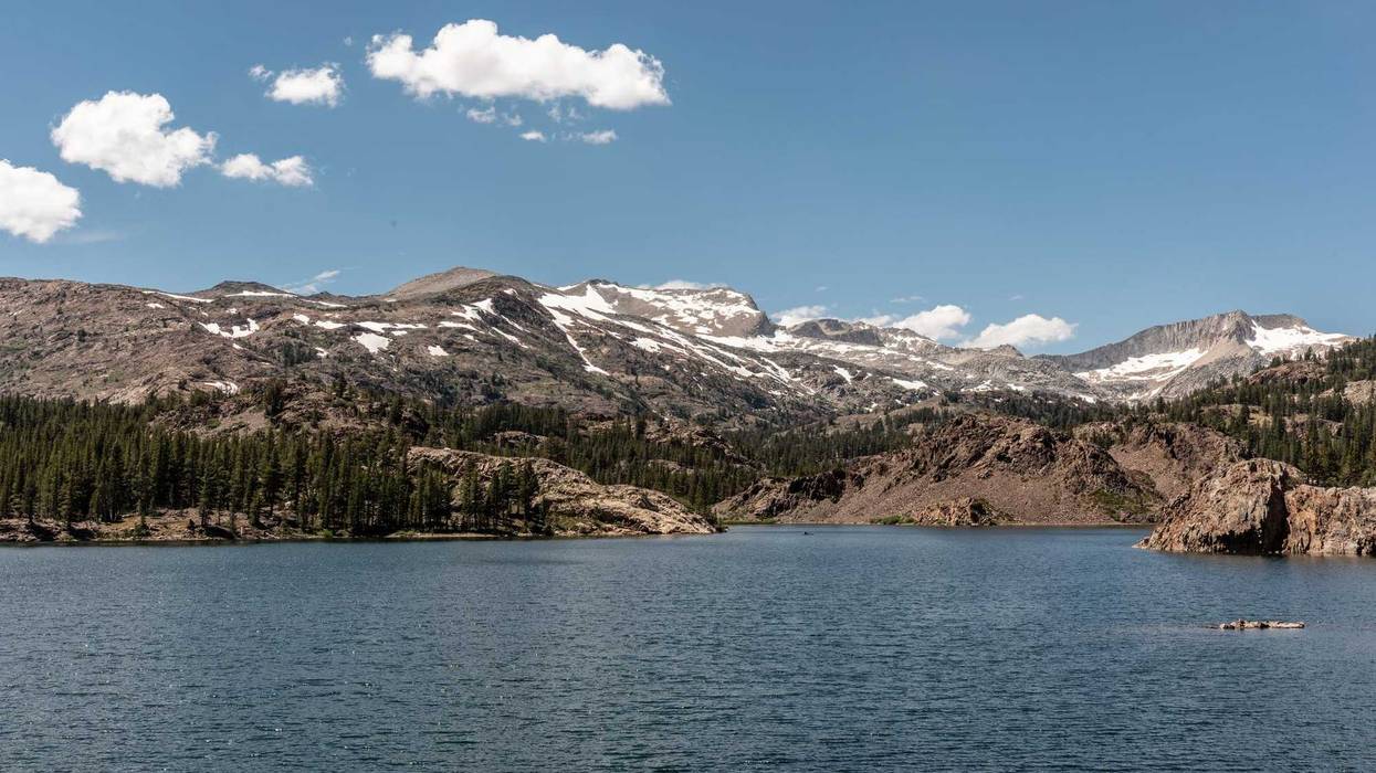 Ellery Lake in California with snow on its mountains during the summer.