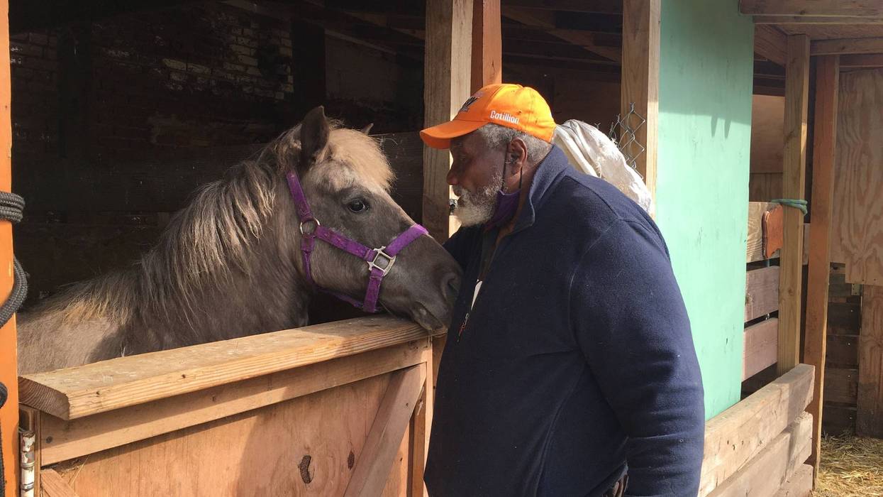 Ellis Ferrell, founder of the Fletcher Street Riding Club, tends to one of his horses. Ferrell said donations for the club have tripled since the release of the Netflix movie "Concrete Cowboy."
