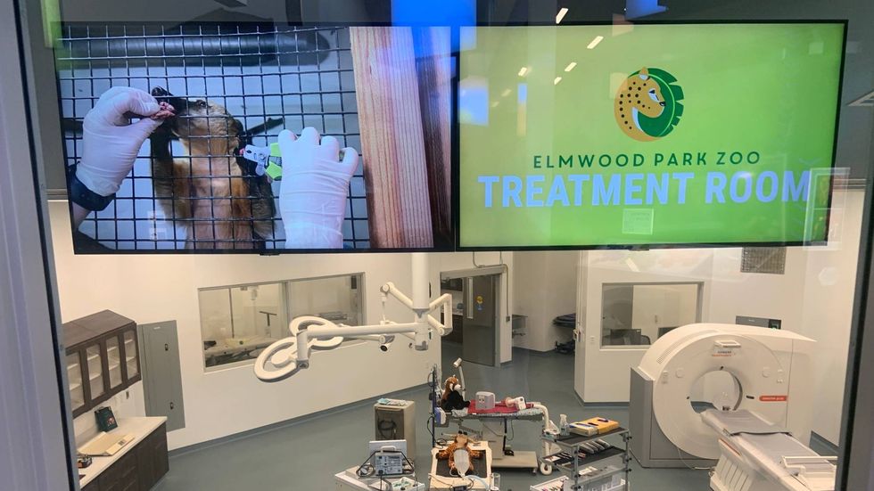 Elmwood Park Zoo