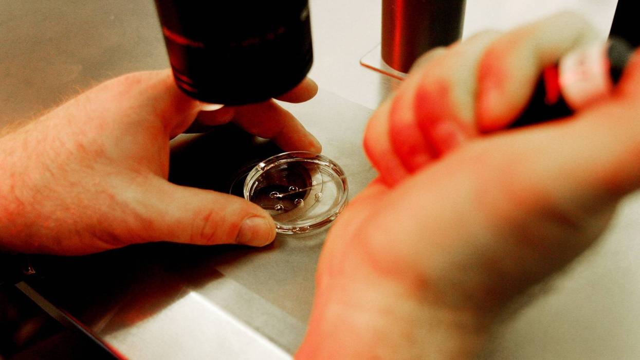 Embryologist Ric Ross holds a dish with human embryos at the La Jolla IVF Clinic February 28, 2007 in La Jolla, California.