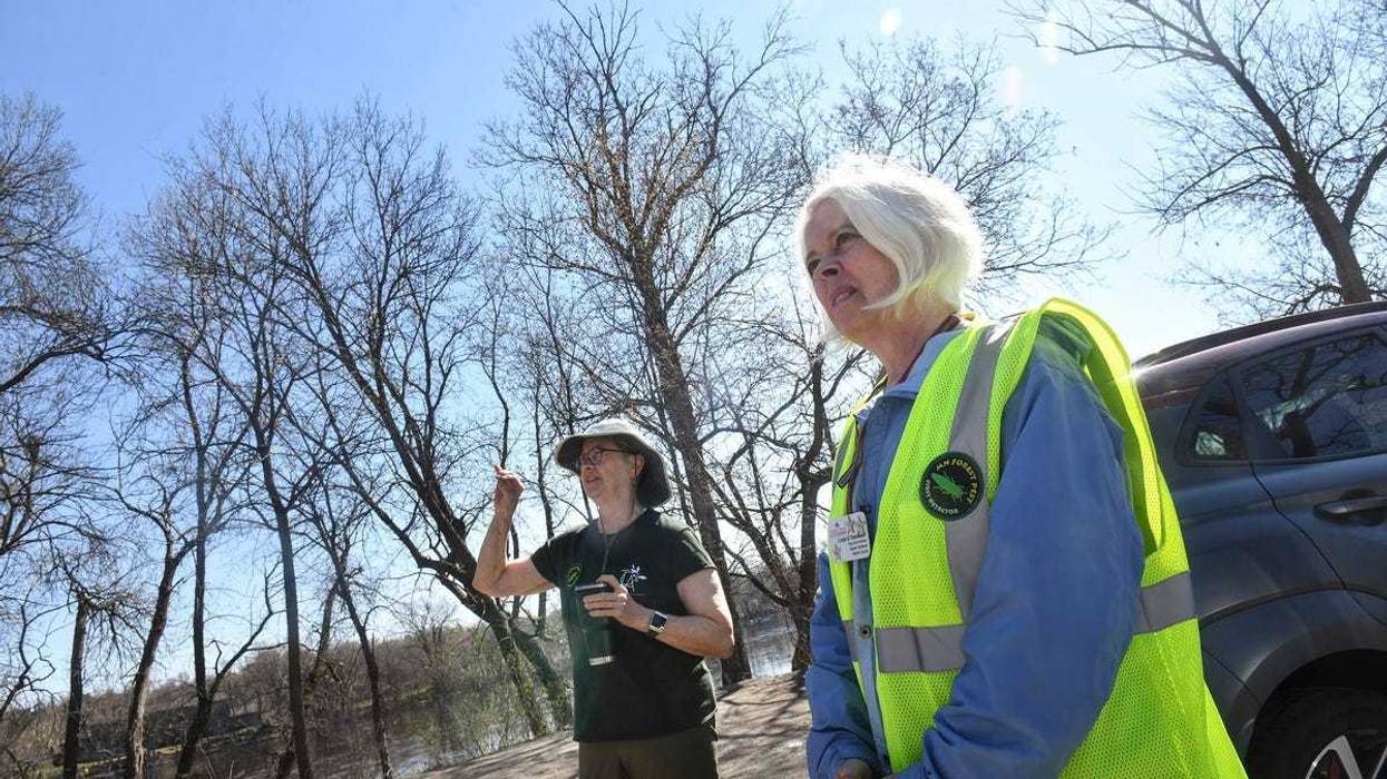 Emerald Ash Borer, Invasive Species, Minnesota, Hennepin County, Ash Tree