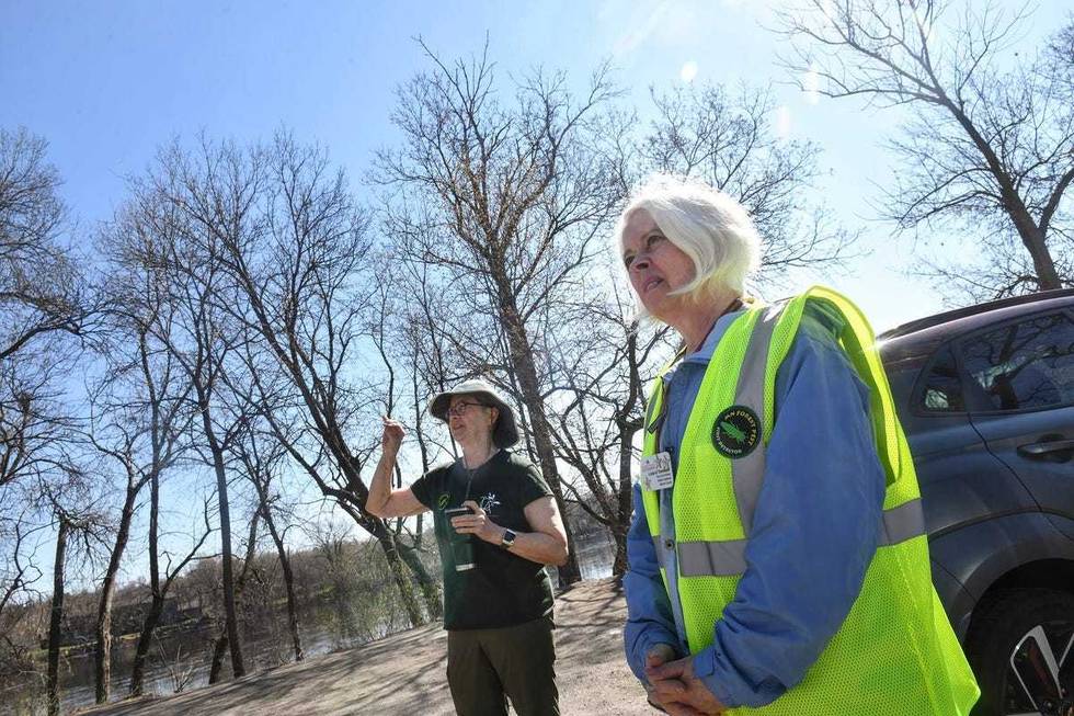 Emerald Ash Borer, Invasive Species, Minnesota, Hennepin County, Ash Tree