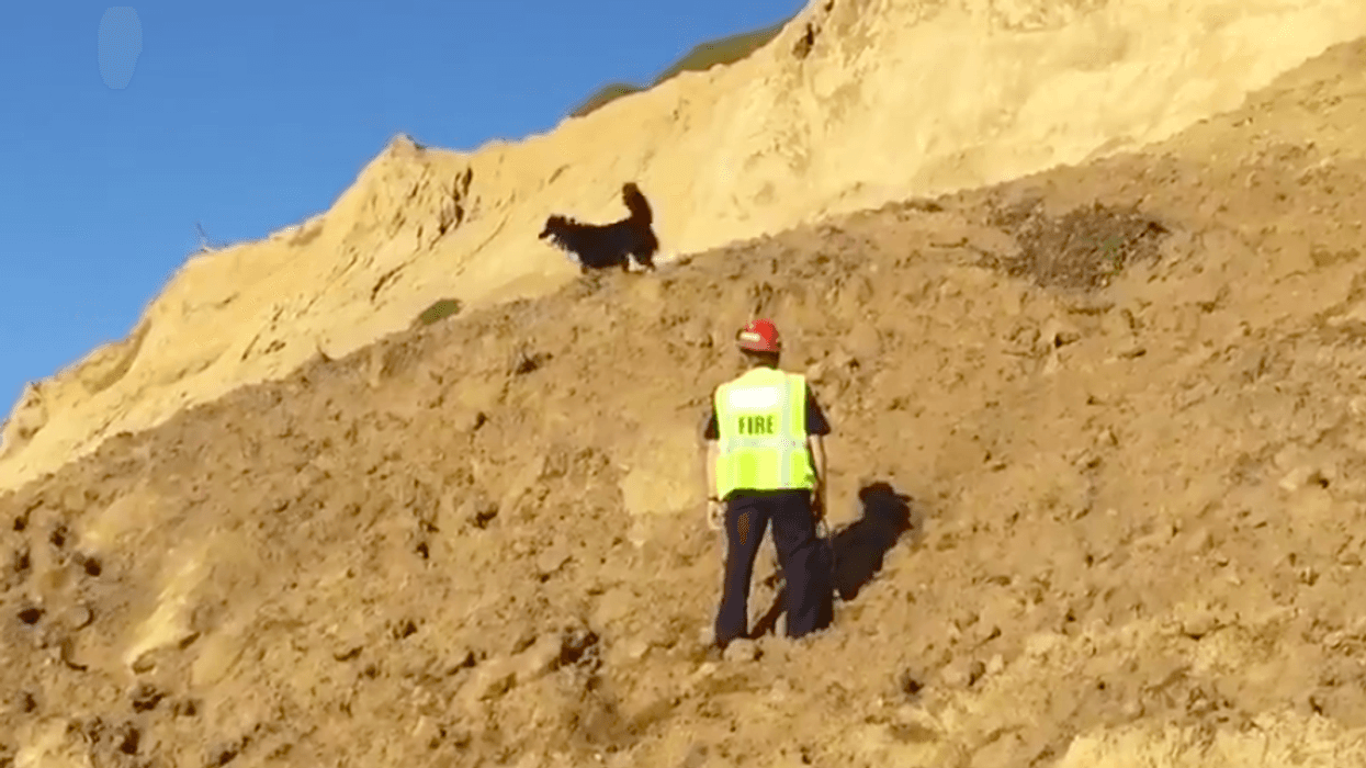 Emergency crews searched desperately who was buried under sand after a cliff collapsed at Fort Funston in San Francisco.