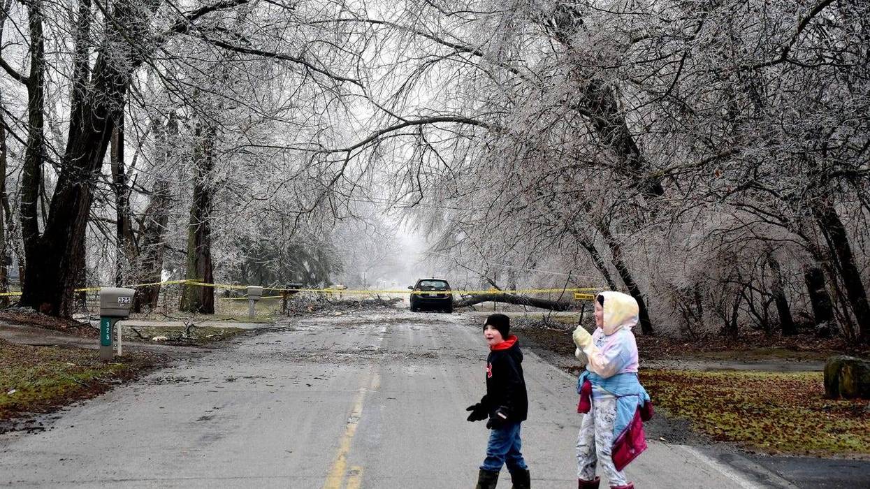 Emma O'Dell, 11, and her brother Zach, 9, in Frenchtown react to the large tree down to their parents over Hurd Rd near their home Thursday morning from the ice storm. The car trapped inside, as DTE placed yellow caution tape around a large area. A neighbor said the power went out around 7:30pm