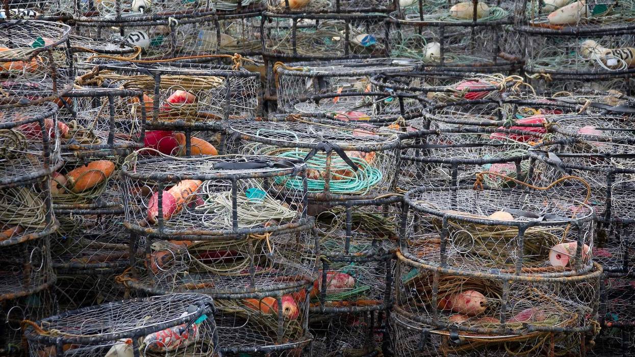 Empty crab fishing gear.
