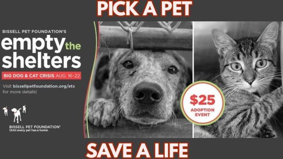 Empty the Shelters Austin Humane Society