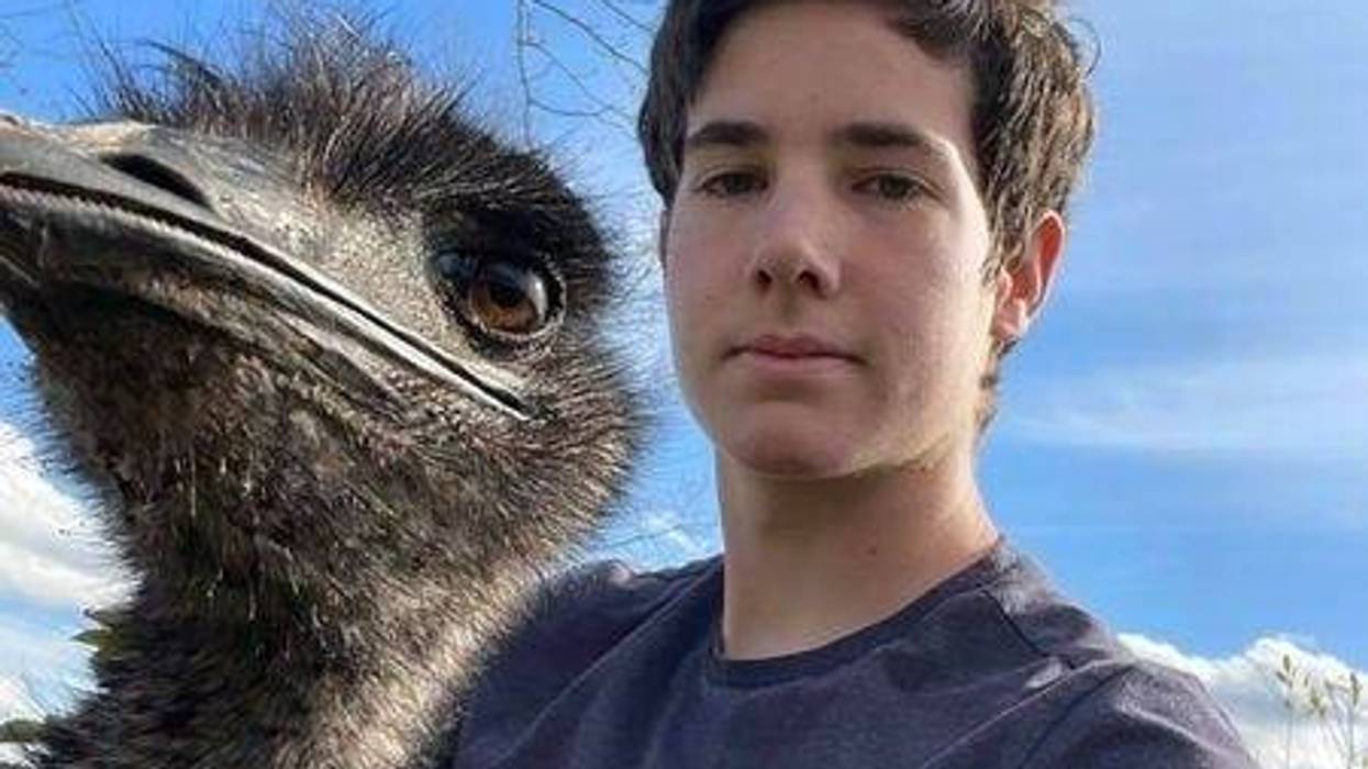 Emu captured