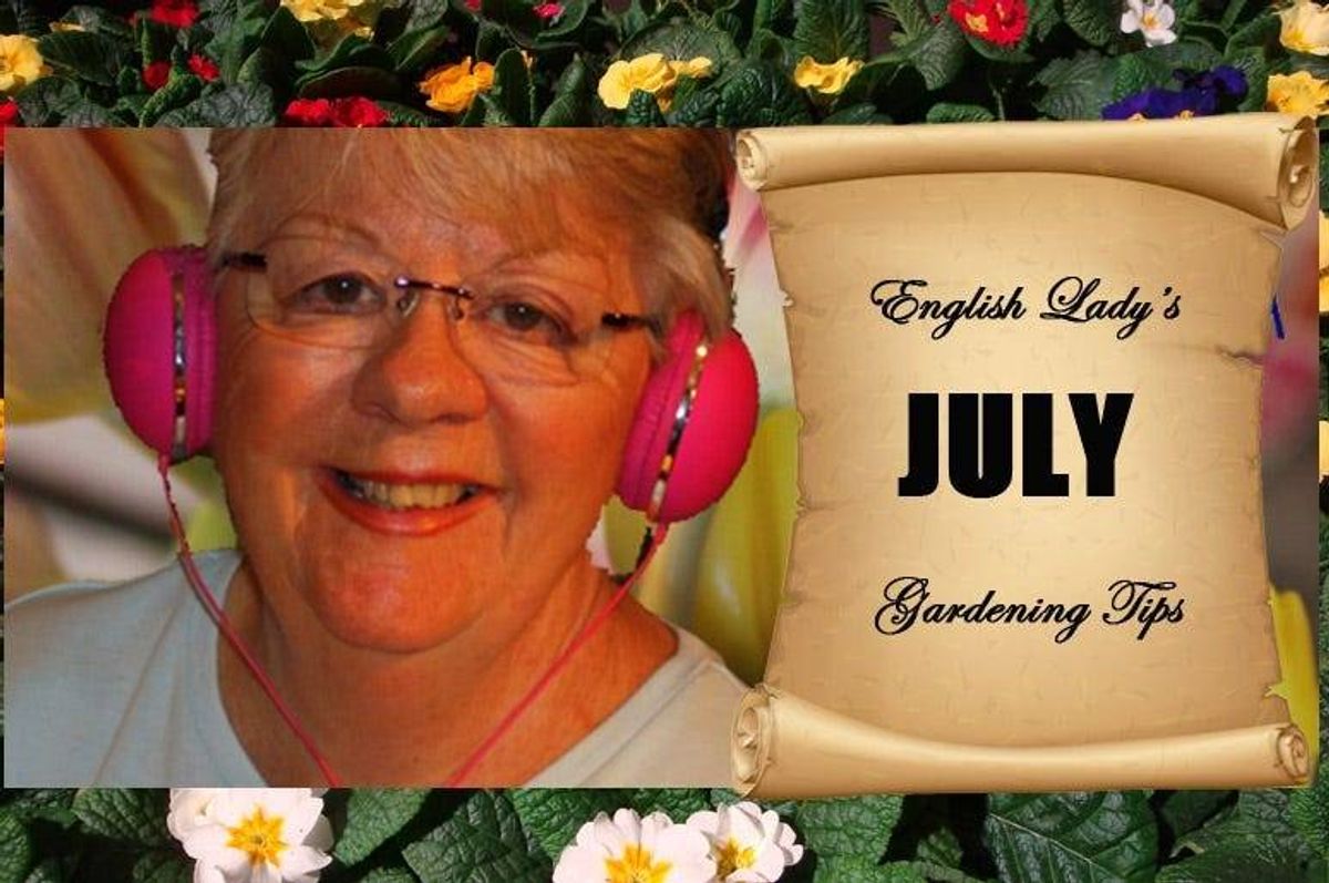 English Lady July Gardening Tips