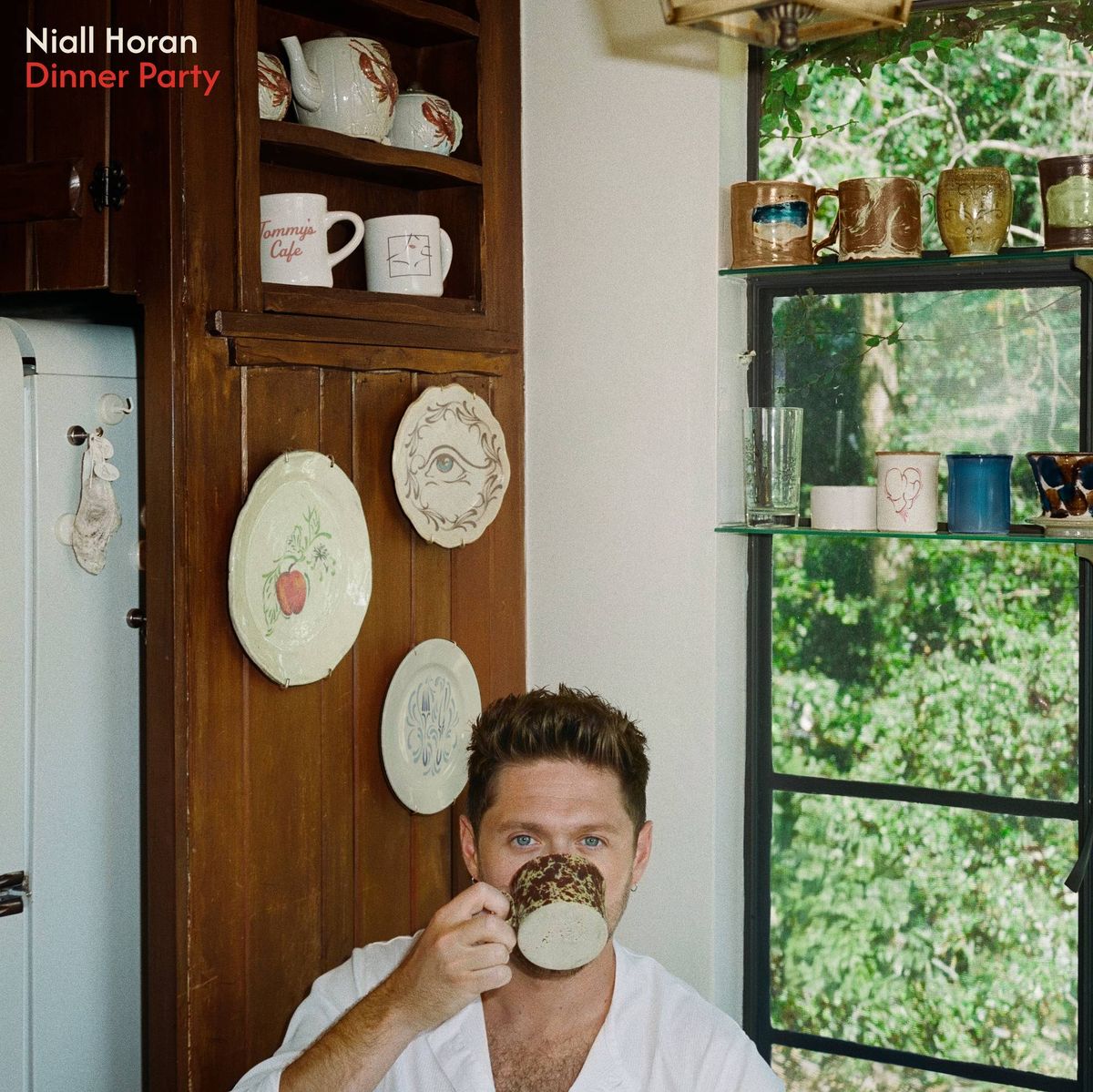 Enter For Your Chance to Win Niall Horan's "Dinner Party" On Vinyl!