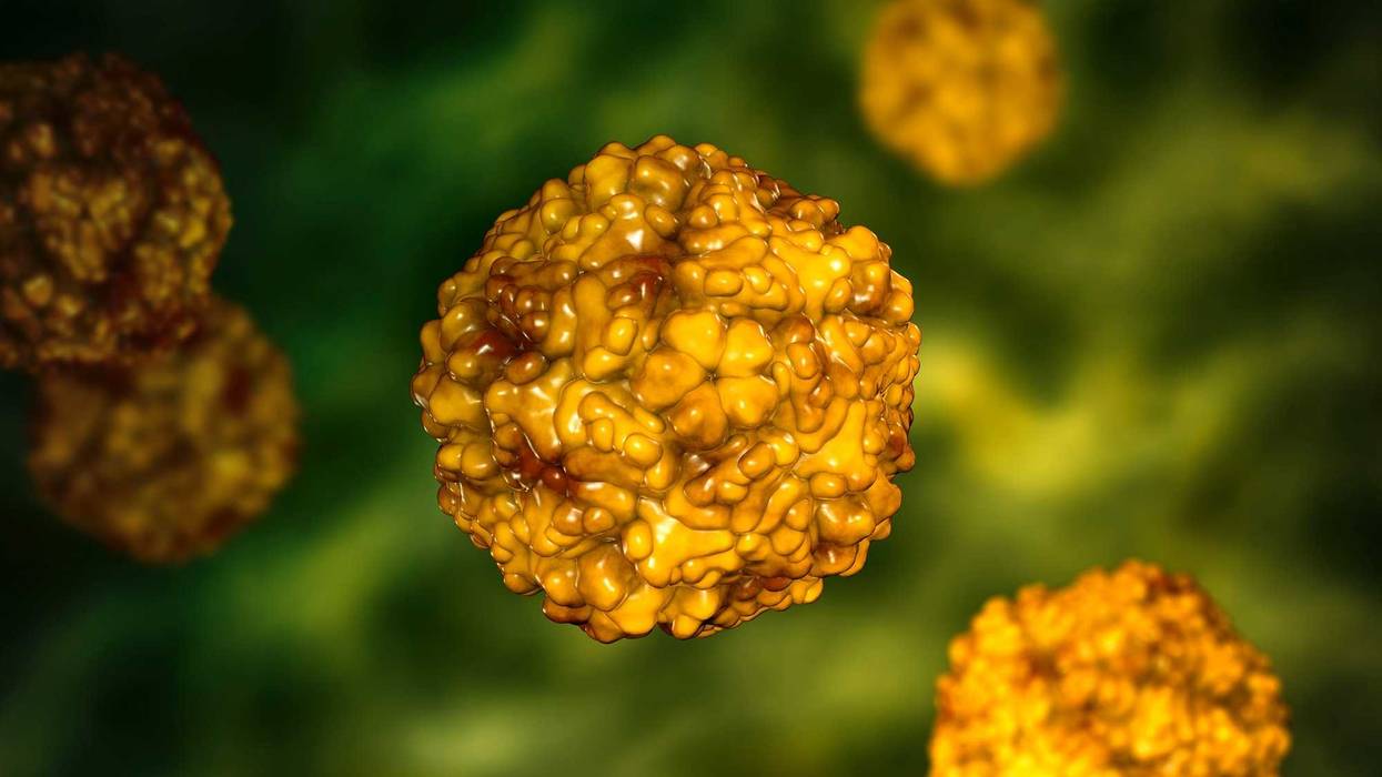 Enteroviruses, a group of RNA-viruses of the Picornaviridae family including Echoviruses, Coxsackieviruses, Rhinoviruses, Poliovirus and other,