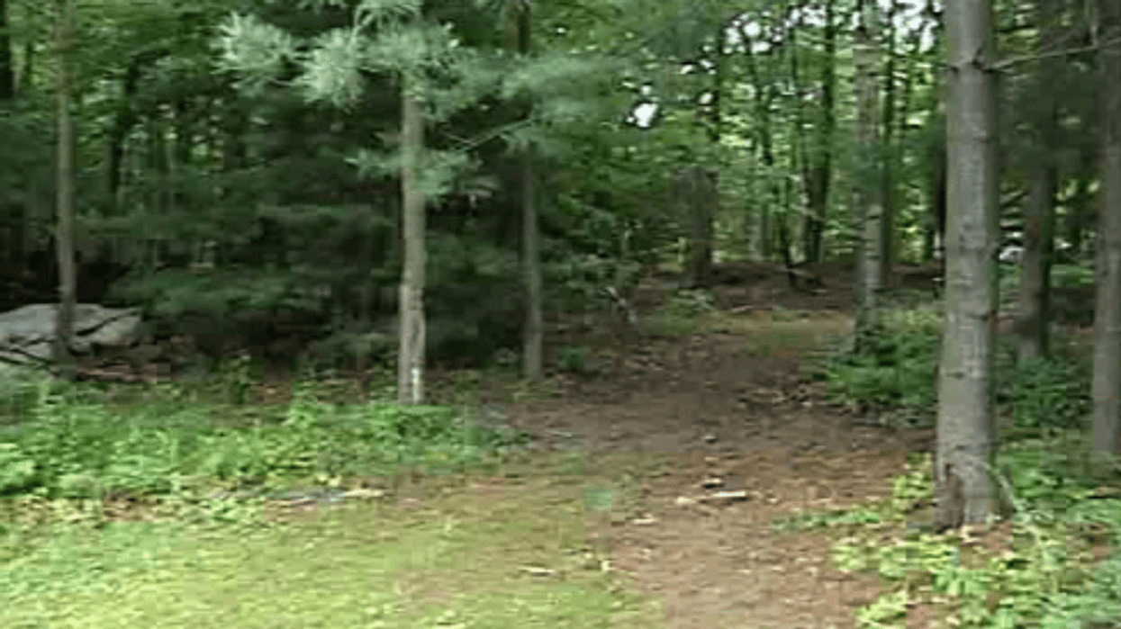Entrance to the wooded area behind 38 Long Hill Street