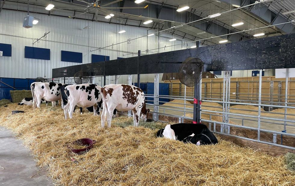 Erie County Fair Agricultural Discovery Center