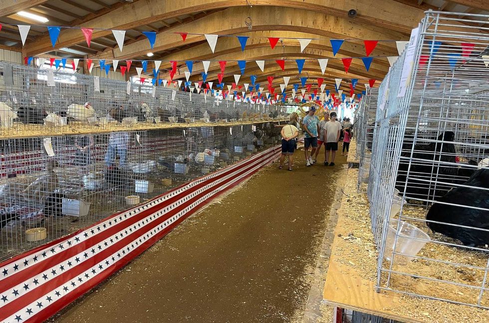 Erie County Fair chicken and rabbit barn